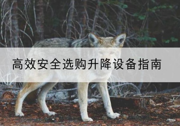 清城升降货梯厂家推荐-*安全选购升降设备指南