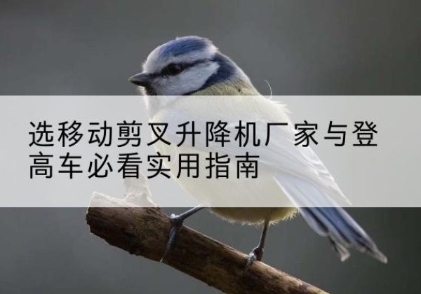 清城电动升降机厂家-选移动剪叉升降机厂家与登高车必看实用指南